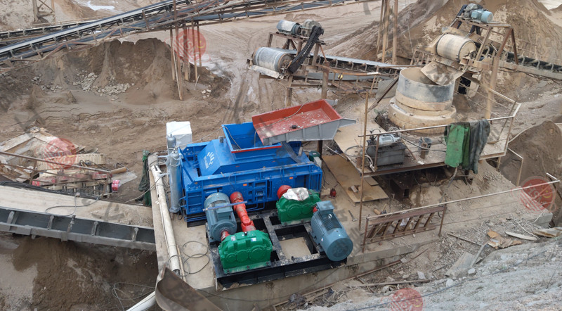 1000��(du��)݁��ɰƷ�|(zh��)֮�x